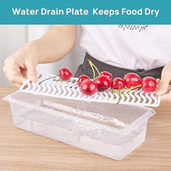 Fridge Storage Containers
