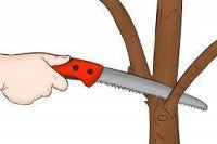 PRUNE CHROMIUM KARAVTI